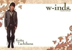 【中古】生写真(男性) w-inds./橘慶太/横型・全身・衣装黒・グレーのチェック柄・Keita Tachibana/公式生写真