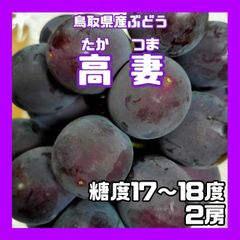 【常温】高妻 糖度19度 2房 ぶどう 葡萄 ブドウ 鳥取県産 贈答 進物