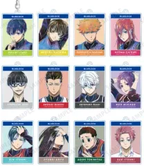 【中古】キーホルダー 全12種セット 「ブルーロック トレーディング Ani-Art アクリルキーホルダー」