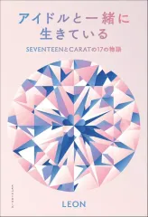 CARAT盤 エントリーカード 17枚セット 2025年最新】17carat seventeenの人気アイテム - メルカリ