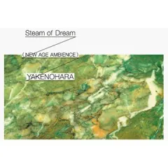 2025年最新】team smokerの人気アイテム - メルカリ