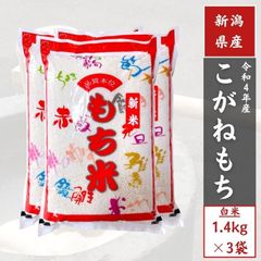 【令和４年産】 新潟県 もち米 白米4.2kg（1.4kg3袋） 3升 単一原料