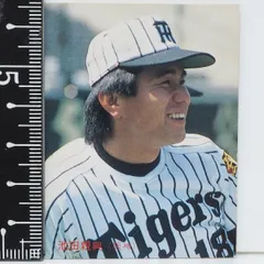 SSK硬式グローブ阪神タイガース池田親興投手実使用 SSK硬式グローブ阪神タイガース池田親興投手実使用 2025年最新