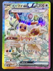 ☆高騰中☆イーブイ 教室 限定プレミア品 連番 2025年最新】イーブイ