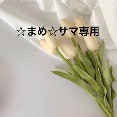 ☆まめ☆サマ専用