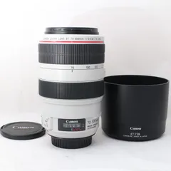 2024年最新】Canon EF70-300 isの人気アイテム - メルカリ