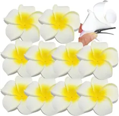 Copeflap ヘアピン ヘアクリップ 花 プルメリア 髪飾り ヘアアクセサリー 10個セット( ホワイト)