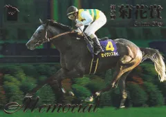 2026年最新】セイウンスカイ 馬券の人気アイテム - メルカリ