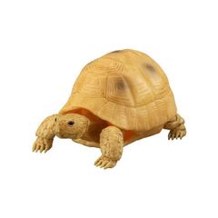 【商品番号12】　イエローアラブギリシャリクガメ　フィギュア　フィギア　　爬虫類　亀　カメ　ガチャガチャ