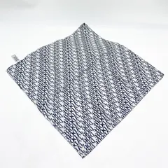 極美品✨超希少 クリスチャンディオール トロッター スカーフ 大判 ベージュ Christian Dior - タグ付きクリスチャンディオールトロッター総