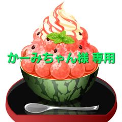 かーみちゃん様専用
