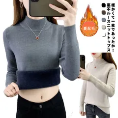 裏起毛 ニット セーター レディース 秋冬 プチハイネック プルオーバー モックネック トップス もっちり ふわふわ 裏フリース 極暖 カジュアル シンプル 無地 インナー カットソー 長袖 防寒 タ#sour1774
