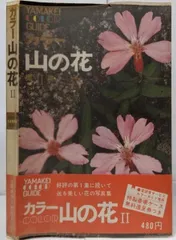 山渓カラーガイド４７　カラー日本の鉄道　☆初版本☆ 2025年最新】山渓カラーガイドの人気アイテム - メルカリ