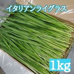 生牧草 イタリアンライグラス 1kg