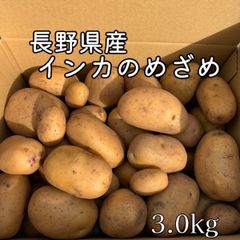 インカのめざめ　3.0㎏ 　農薬不使用