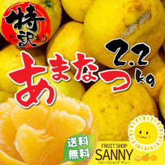 みかん 愛媛県産 特に訳あり 甘夏 箱込2.2kg 疲れた体に染み渡るビタミンＣクエン酸ビタミンＢ１もたっぷり今が旬！