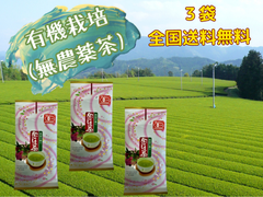 全国 送料無料 健康 安心安全作った人の顔が見える作った人の顔が見える 知覧茶 有機栽培 無農薬茶　煎茶 松　100g✕3袋
