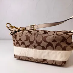 ✨Bランク   COACH ハンドバッグ　アクセサリーポーチ　シグネチャー　Signature　キャンバス　レザー　ブラウン　「105EL]