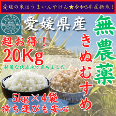 無農薬栽培　令和5年度　新米【玄米・白米選べます】愛媛県産　お米　きぬむすめ　20kg　農薬不使用