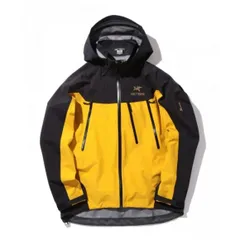 美品 ARC'TERYX × BEAMS 40th THETA AR サイズM ARC'TERYX × BEAMS＞ 