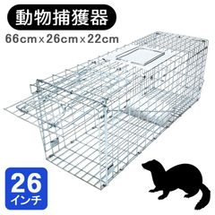 Item thumbnail for item eefa6803-8490-4342-ab8d-43101e341c8b