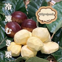 2025年収穫分 熊本 山鹿和栗 むき栗 ほっこり甘さ凝縮！『冷凍むき栗