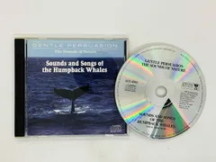Hump Back CD+DVD 初回封入特典付き 7枚まとめ売り Hump Back CD