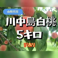 2025年最新】桃 加工用の人気アイテム - メルカリ