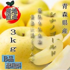 青森県産 シナノゴールド りんご【B品3kg】【送料無料】【産地直送】リンゴ