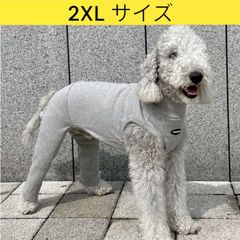 メルカリ イタグレ服 2XL 無地コーデ ロンパース つなぎ 小型犬 中型犬 大型犬 春 夏 秋 冬 doggystar ドッギースター