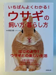 2024年最新】いちばんよくわかる！ウサギの飼い方・暮らし方の人気