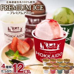 訳あり アイス アイスクリーム 北海道生乳100%使用 プレミアムアイス.BUONO 12個（4種×3個）.詰め合わせセット 【S19】【S】