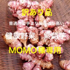 栽培期間中農薬不使用　健康野菜　紫菊芋（１Kg以上）MOMO様専用