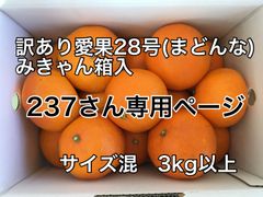 愛果28号(まどんな)