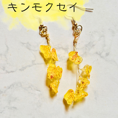 秋の訪れを告げる金木犀の香り…🍂✨ ディップアートで生まれた、透き通るキンモクセイピアス💛  揺れるたびに光をまとい、耳元で優しく香る…😌✨  まるで小さな秋を閉じ込めたみたい…🍁 あなたに幸せを運ぶ、魔法のピアスです✨