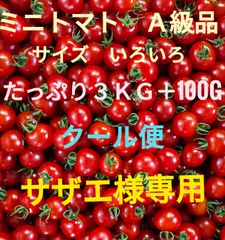 サザエ様専用　ミニトマト　３kg＋100g