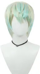 新品 コスプレウィッグ メッシュウィッグ 耐熱 ウィッグ かつら wig 仮装 コスチューム小物 かつら変装 ハロウィン イベント cosplay 撮影 (緋八マナ)