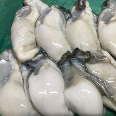 広島県産大粒冷凍牡蠣 ２キロ(2Lサイズ)