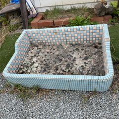 【きよ】鷹の剥製 ガラスケース付き きよ】鷹の剥製 ガラスケース付き ♭ 鷹 剥製 ガラスケース付き