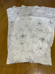 Chicoのサムネイル
