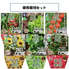 【新品未使用！箱あり】ウタネ 楽育栽培セット 栽培キット 簡単 自宅でできる 自宅栽培 エコ ベランダ 栽培 野菜 育てる とうがらし レタス ミニトマト ストロベリー バジル ひまわり