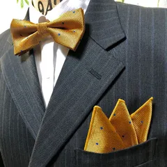 蝶ネクタイ　ポケットチーフ2点セット/メンズ/マスタードゴールド