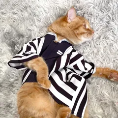 【1～3日以内に発送！】ペット用 コスプレ衣装 猫服 犬服 鬼滅の刃 風 伊黒小芭内 鬼殺隊 鬼服 着物 《Sサイズ》
