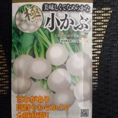 未開封＜野菜の種＞小かぶ　5ｍｌ　こかぶ　なめらかで美味しい
