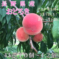 おどろき 桃 長野県産 新品種 たもぎ茸 4kg 中サイズ