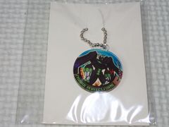 ポケモンアクリルキーホルダー パーフェクトジガルデ ポケットモンスターXY&Z★新品未使用 Pokémon