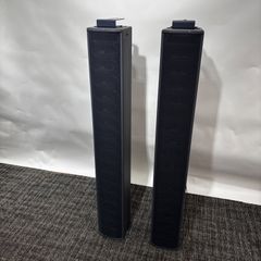 Panasonic パナソニック  WS-LA100 2本セット 動作確認済 若干傷あり／本体のみ