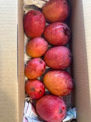 訳あり　ミニマンゴー　8,5kg クール便 沖縄県産 【訳あり】完熟アップルミニマンゴー1kg - メルカリ