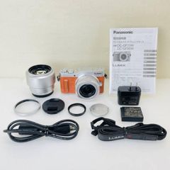 ☆極上品/ショット数166回☆ パナソニック Lumix GF10 1600万メガ