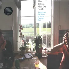 米12” Tallest Man On Earth Sometimes The Blues Is Just A Passing Bird DOC048 Dead Oceans /00250